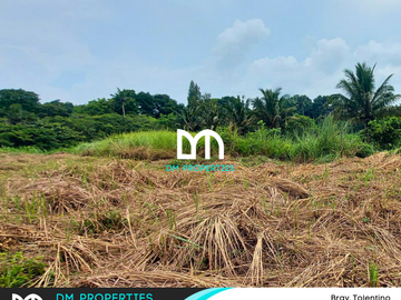 For Sale: Vacant Lots in Brgy. Tolentino, Tagaytay City