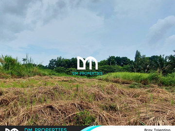 For Sale: Vacant Lots in Brgy. Tolentino, Tagaytay City