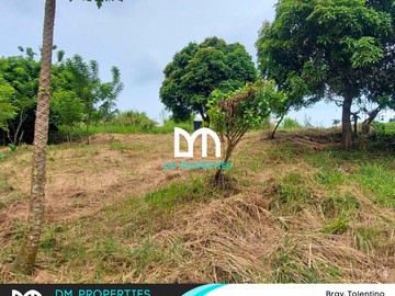 For Sale: Vacant Lots in Brgy. Tolentino, Tagaytay City