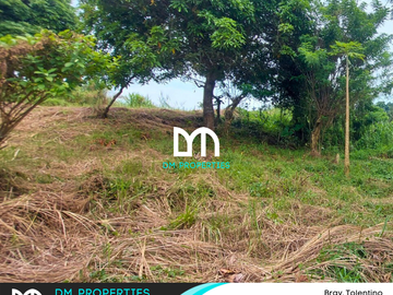For Sale: Vacant Lots in Brgy. Tolentino, Tagaytay City