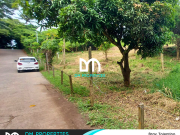 For Sale: Vacant Lots in Brgy. Tolentino, Tagaytay City