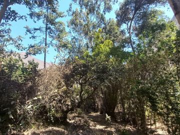 VENTA CASA DE CAMPO HUAROCHIRI COCACHACRA