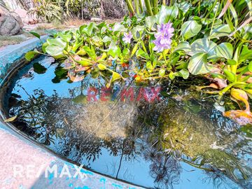 VENTA DE CASA EN SAN JUAN DE LURIGANCHO CAMPOY CON AMPLIO JARDIN 506 M2