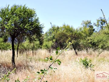 Venta de Parcela en las Cabras Sexta Región. Valben Propiedades SpA.