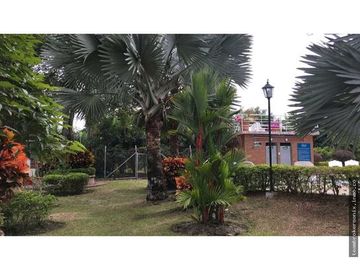 VENDO FINCA EN SANTA ELENA