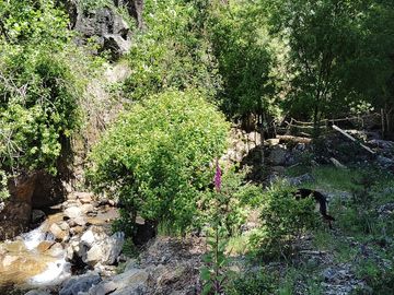 Parcela con casa y bodega, en la region de los lagos