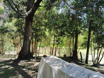 Parcela con casa y bodega, en la region de los lagos