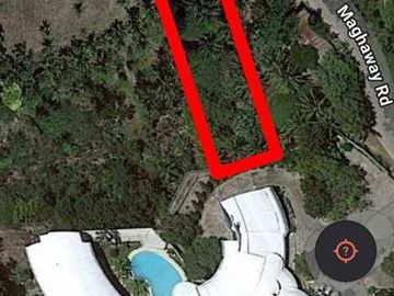 Sacrifice Sale 1000 Sqm Lot for Sale in Talisay Cebu City