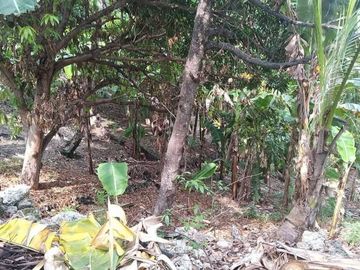 Sacrifice Sale 1000 Sqm Lot for Sale in Talisay Cebu City