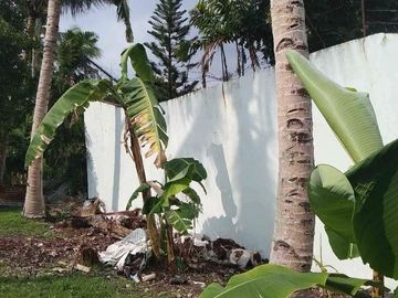 Sacrifice Sale 1000 Sqm Lot for Sale in Talisay Cebu City