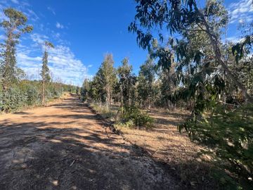 PARCELAS EN SANTO DOMINGO REGION DE VALPÁRAISO
