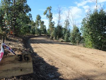 PARCELAS EN SANTO DOMINGO REGION DE VALPÁRAISO