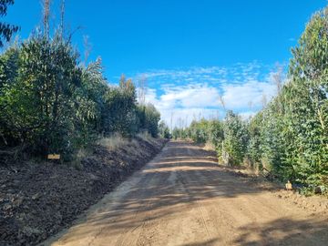 PARCELAS EN SANTO DOMINGO REGION DE VALPÁRAISO
