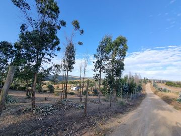 PARCELAS EN SANTO DOMINGO REGION DE VALPÁRAISO