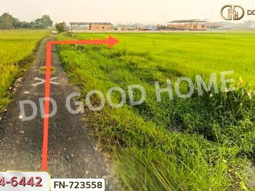 Mae Taeng land for sale 1 rai 270 sq w. Chiang Mai near the airplane cafe