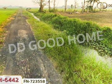 Mae Taeng land for sale 1 rai 270 sq w. Chiang Mai near the airplane cafe
