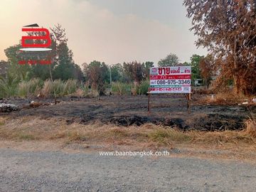 ที่ดินเปล่า บ้านสวนรีสอร์ท เนื้อที่ 70 ตรว. ถนนเลียบคลองห้า อ.คลองหลวง จ.ปทุมธานี