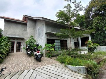 Rumah Natural, Luas dan Adem di Wedomartani