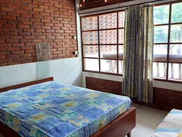 Rumah Natural, Luas dan Adem di Wedomartani