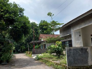 Rumah Natural, Luas dan Adem di Wedomartani