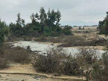 VENTA TERRENO AGRICOLA ALTURA KM 220 PANAMERICANA SUR entre Chincha y Pisco