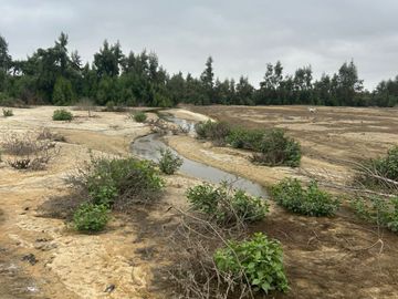 VENTA TERRENO AGRICOLA ALTURA KM 220 PANAMERICANA SUR entre Chincha y Pisco