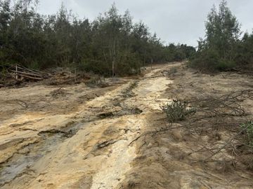 VENTA TERRENO AGRICOLA ALTURA KM 220 PANAMERICANA SUR entre Chincha y Pisco