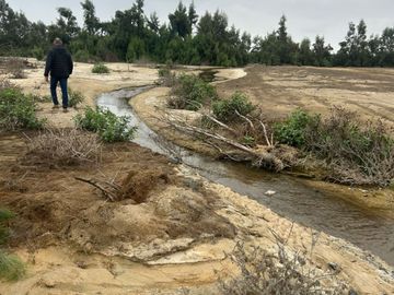 VENTA TERRENO AGRICOLA ALTURA KM 220 PANAMERICANA SUR entre Chincha y Pisco