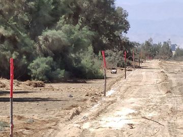 VENTA TERRENO AGRICOLA ALTURA KM 220 PANAMERICANA SUR entre Chincha y Pisco