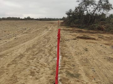 VENTA TERRENO AGRICOLA ALTURA KM 220 PANAMERICANA SUR entre Chincha y Pisco