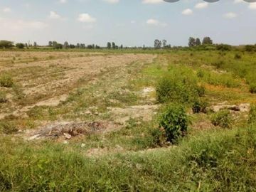 VENTA TERRENO AGRICOLA ALTURA KM 220 PANAMERICANA SUR entre Chincha y Pisco