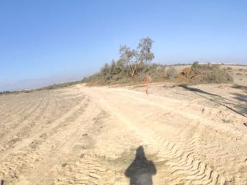VENTA TERRENO AGRICOLA ALTURA KM 220 PANAMERICANA SUR entre Chincha y Pisco