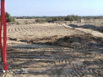 VENTA TERRENO AGRICOLA ALTURA KM 220 PANAMERICANA SUR entre Chincha y Pisco