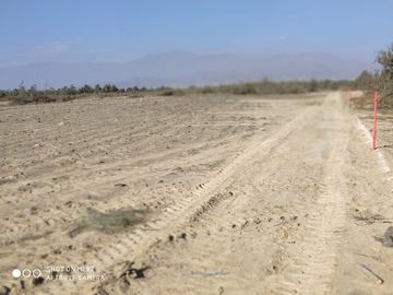 VENTA TERRENO AGRICOLA ALTURA KM 220 PANAMERICANA SUR entre Chincha y Pisco