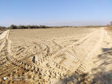 VENTA TERRENO AGRICOLA ALTURA KM 220 PANAMERICANA SUR entre Chincha y Pisco
