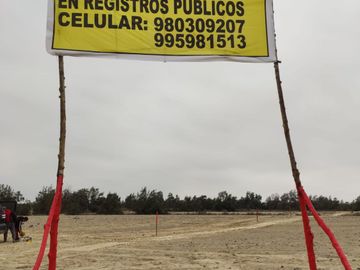 VENTA TERRENO AGRICOLA ALTURA KM 220 PANAMERICANA SUR entre Chincha y Pisco