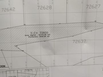 VENTA TERRENO AGRICOLA ALTURA KM 220 PANAMERICANA SUR entre Chincha y Pisco