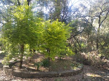 Bosques de Cuauhyocan, casa en terreno de 3800 m2