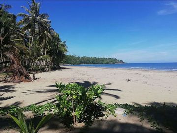 8,314 m2 / 2.05 Acres Sunset Golden Beachfront