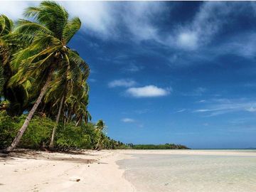 25,793 m2 White Beachfront Coconut Sunrise