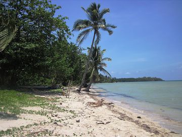25,793 m2 White Beachfront Coconut Sunrise