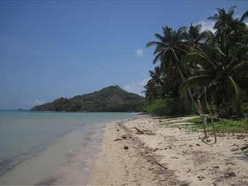 25,793 m2 White Beachfront Coconut Sunrise