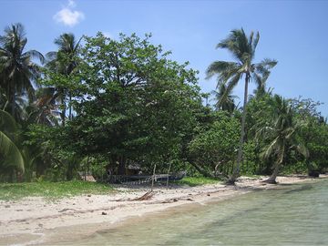 25,793 m2 White Beachfront Coconut Sunrise