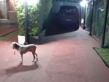 CASA EN VENTA VALLE DE LOS CHILLOS ILALO VIA AL TINGO QUITO ECUADOR