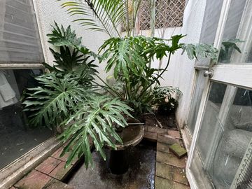 CASA EN VENTA, VALLARTA SAN JORGE, ZONA MINERVA, GUADALAJARA