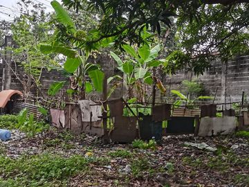 2,000 sqm Lot in Greensville Subdvision, Estefania