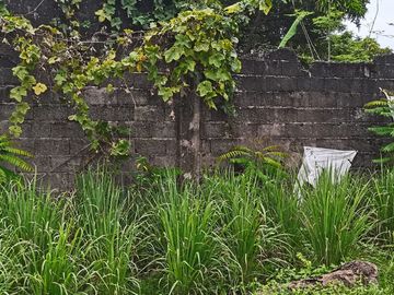 2,000 sqm Lot in Greensville Subdvision, Estefania