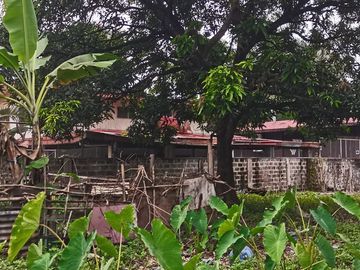 2,000 sqm Lot in Greensville Subdvision, Estefania