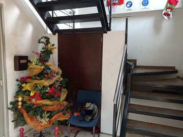 Venta casa - edificio barrio El Prado Cali Valle Colombia