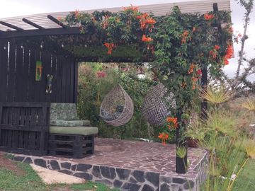 VENTA FINCA ARBOLEDAS